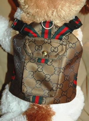 gucci dog collar backpack.